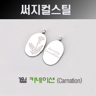 [8-3187-01] ýƿ(źȭ/1) ī̼(Carnation) 11*20mm (η/) (T) [1]